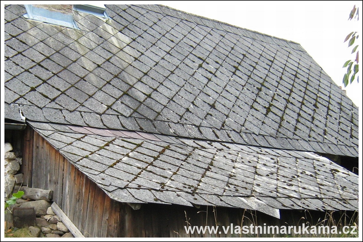 mech na eternitové střeše, foto med