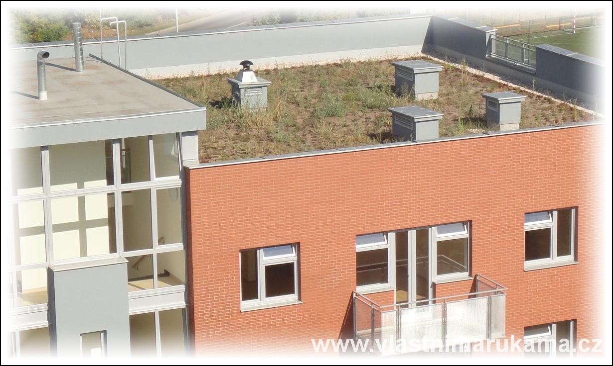 plochá, částečně zatravněná střecha, foto med dům s plochou zatravněnou střechou